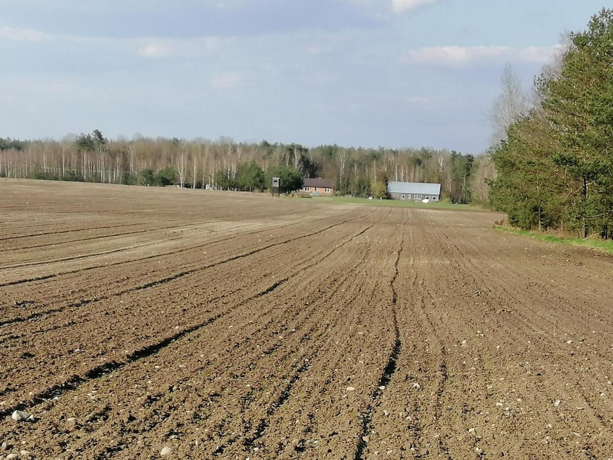 Agroturystyka Wiski 66 Zewnętrze zdjęcie
